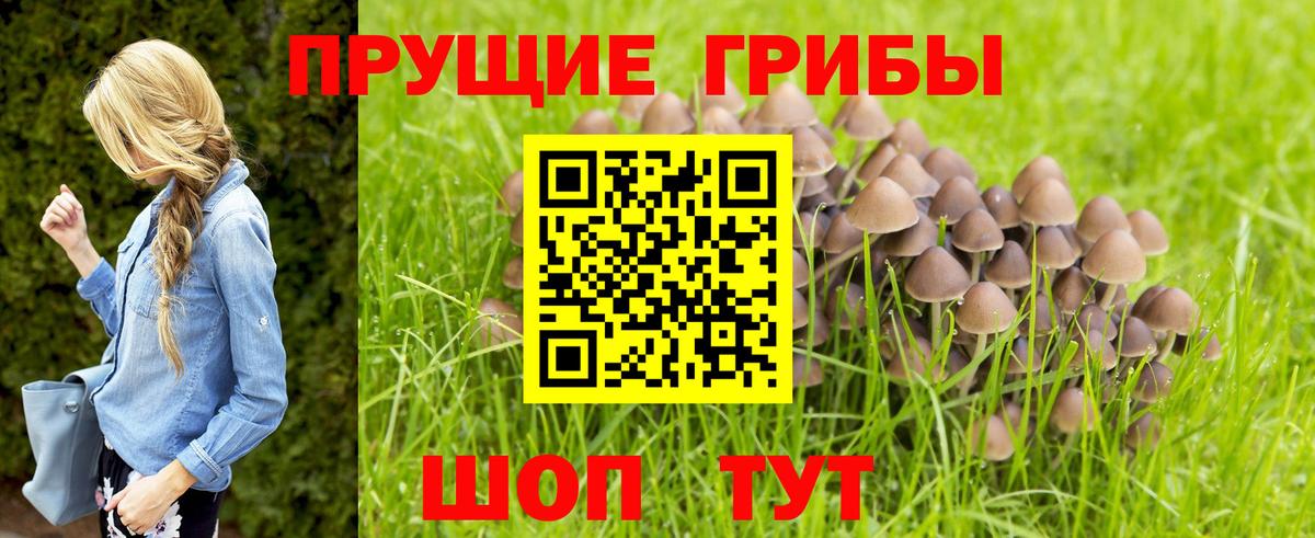 Миллерово  Псилоцибиновые грибы мухоморы  Вход с VPN  Галлюциногенные грибы мицелий 
